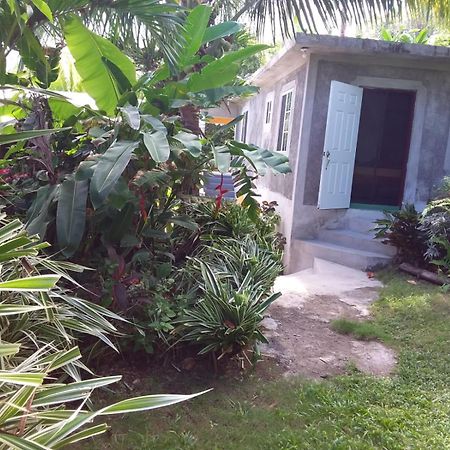 Port Antonio Brian'S Beach House Buitenkant foto