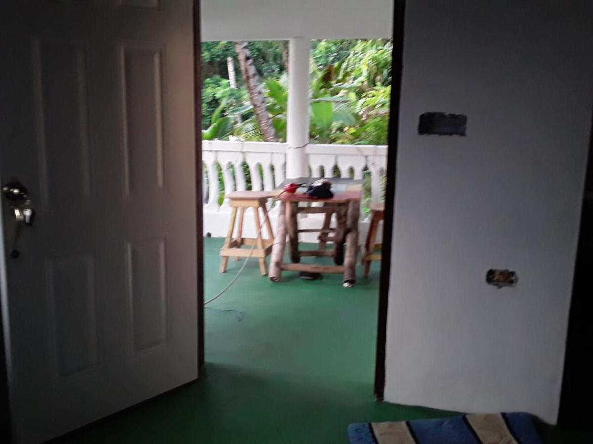 Port Antonio Brian'S Beach House Buitenkant foto
