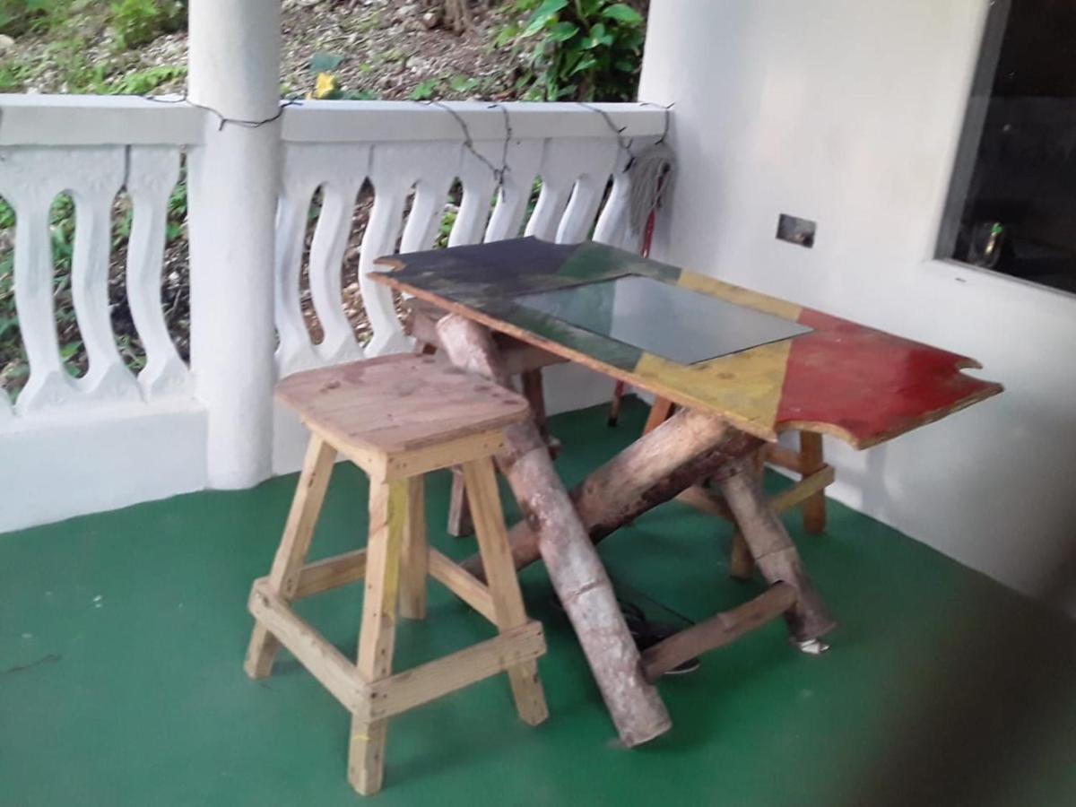Port Antonio Brian'S Beach House Buitenkant foto