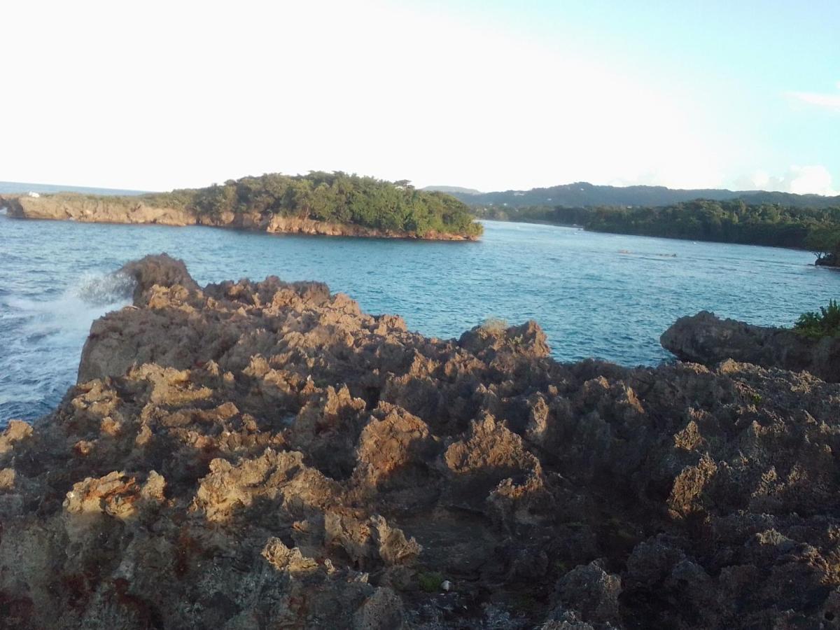 Port Antonio Brian'S Beach House Buitenkant foto