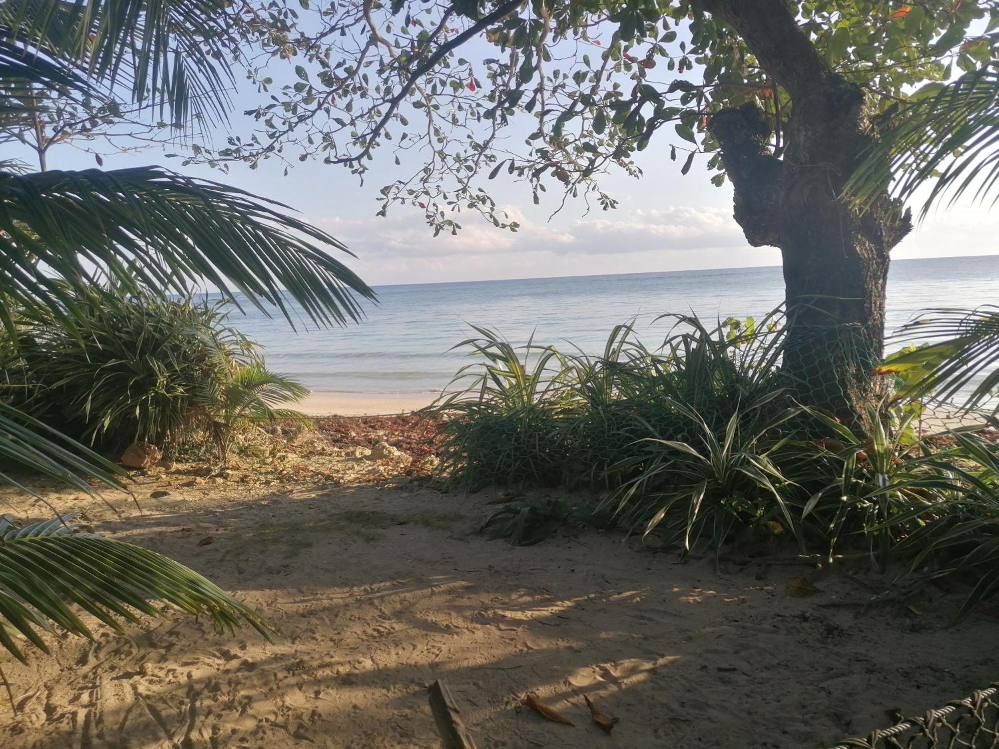 Port Antonio Brian'S Beach House Buitenkant foto
