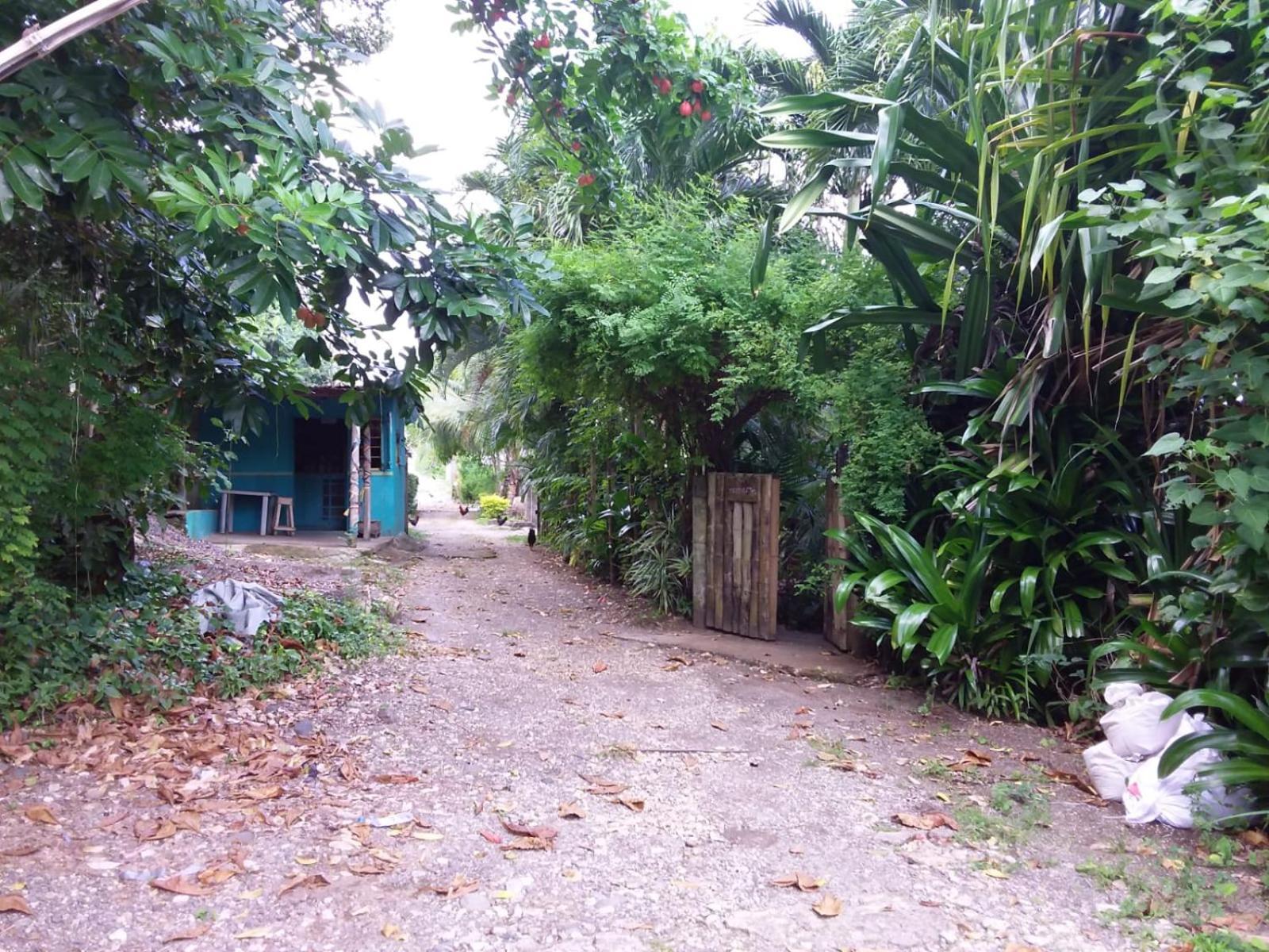 Port Antonio Brian'S Beach House Buitenkant foto