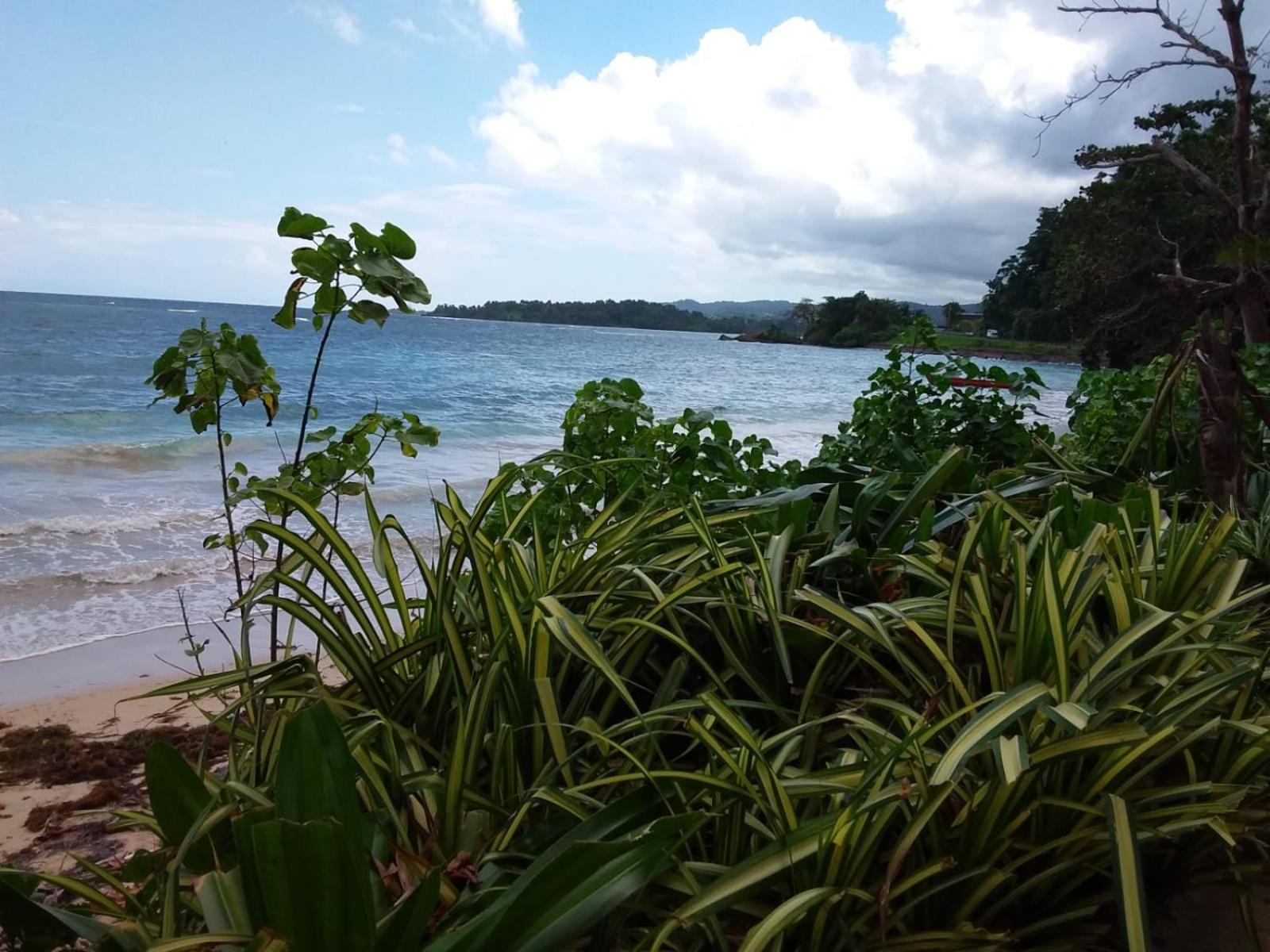 Port Antonio Brian'S Beach House Buitenkant foto