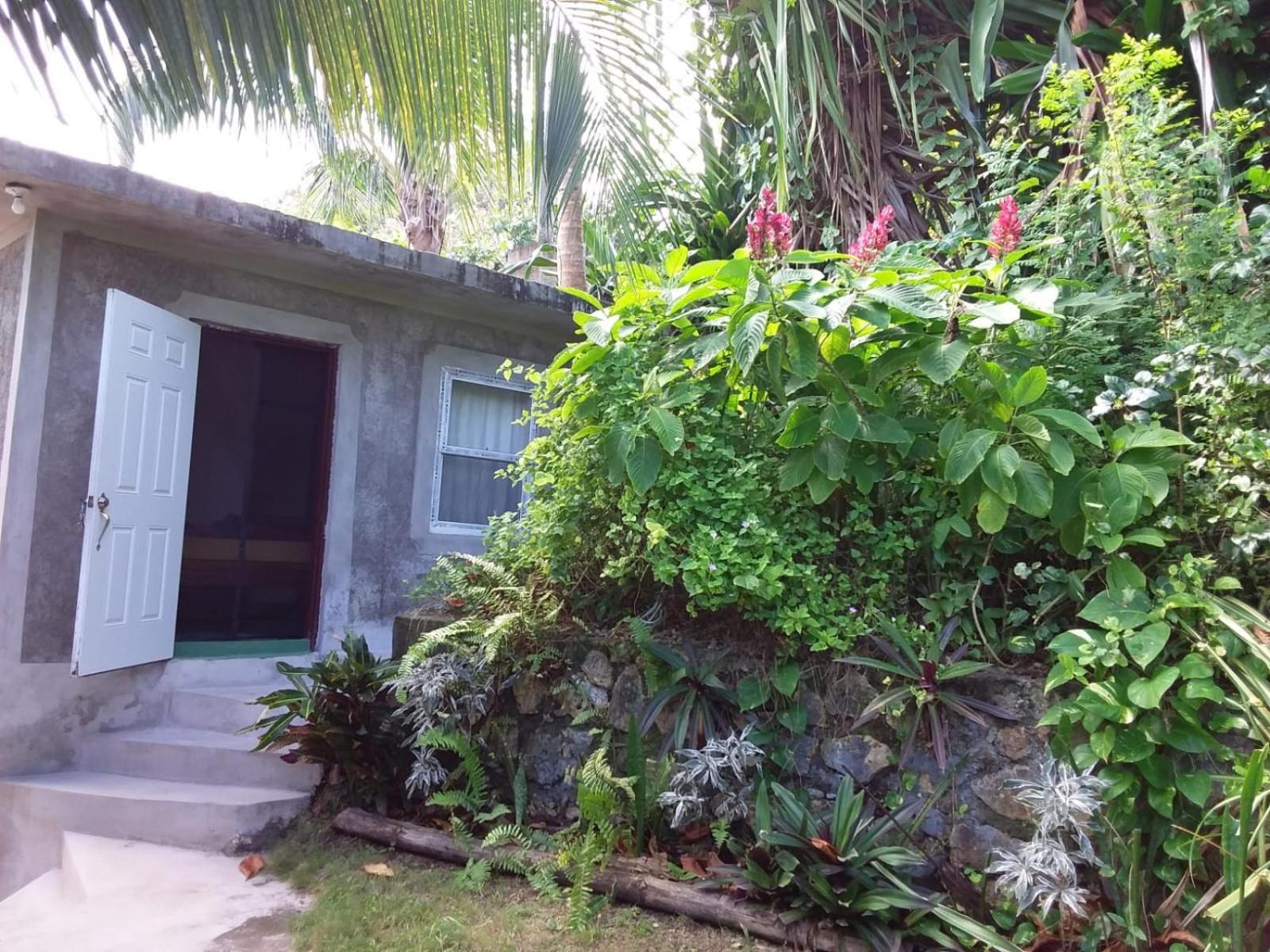 Port Antonio Brian'S Beach House Buitenkant foto